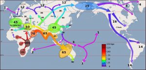 ابتدائی انسانوں کی ہجرت کا نقشہ
