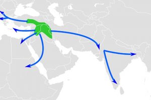 کاشتکاری کا طریقہ بارہ ہزار سال پہلے ترکی، شام اور ایران کے علاقوں سے شروع ہوا اور نو ہزار سال پہلے تک پوری دنیا میں پھیل گیا