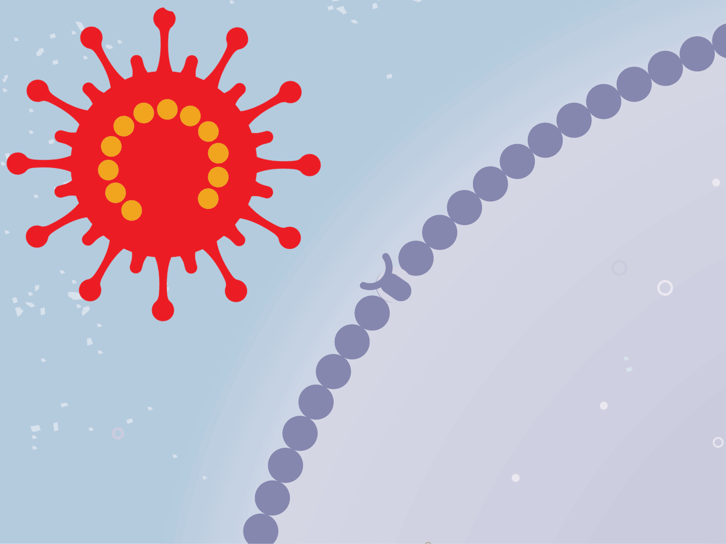 کورونا وائرس کی نئی اقسام کا انتخاب کون کرتا ہے؟ (آخری حصہ) 3