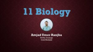 11 Biology by Amjad Umer Ranjha 1