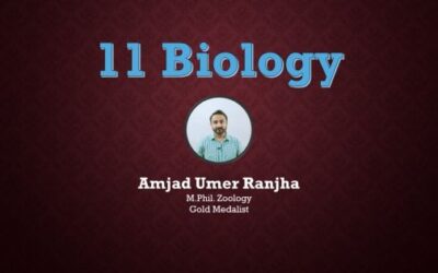 11 Biology by Amjad Umer Ranjha