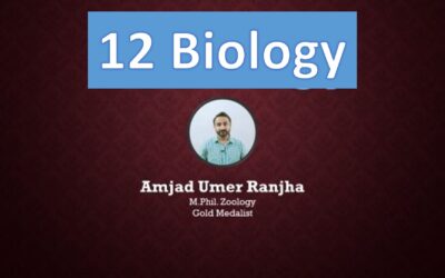 12 Biology By Amjad Umer Ranjha