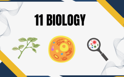 11 Biology By BISM Academy