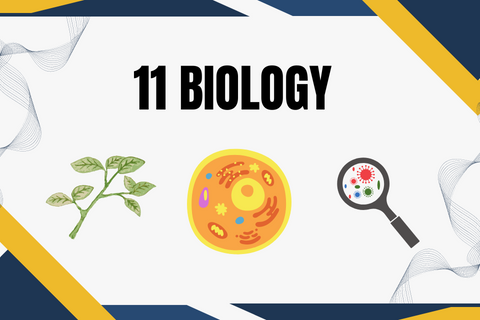11 Biology By BISM Academy