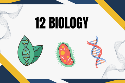 12 Biology by BISM Academy