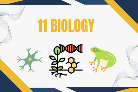 11 Biology By The Base Academy